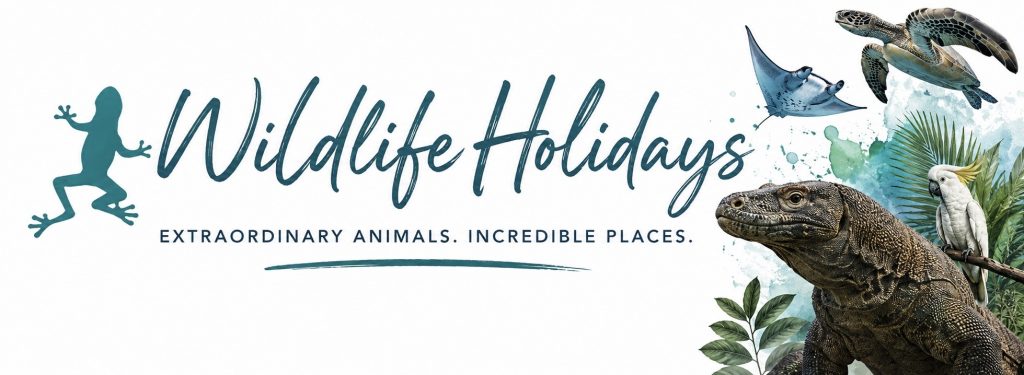 Wildlife holidays - banner to return to hub