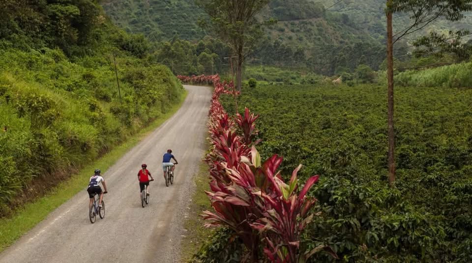 Cycling along the Nicoya Peninsula on Costa Rica’s Pacific coast