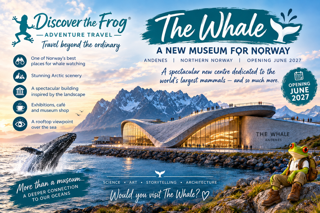 The Whale hero banner