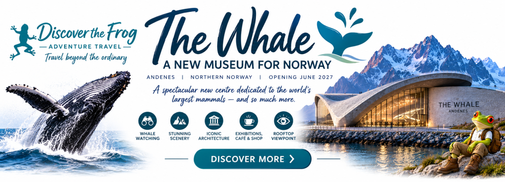 The Whale Norway - Discover More