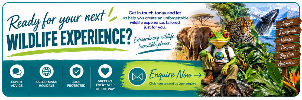 Wildlife Experience Contact Banner
